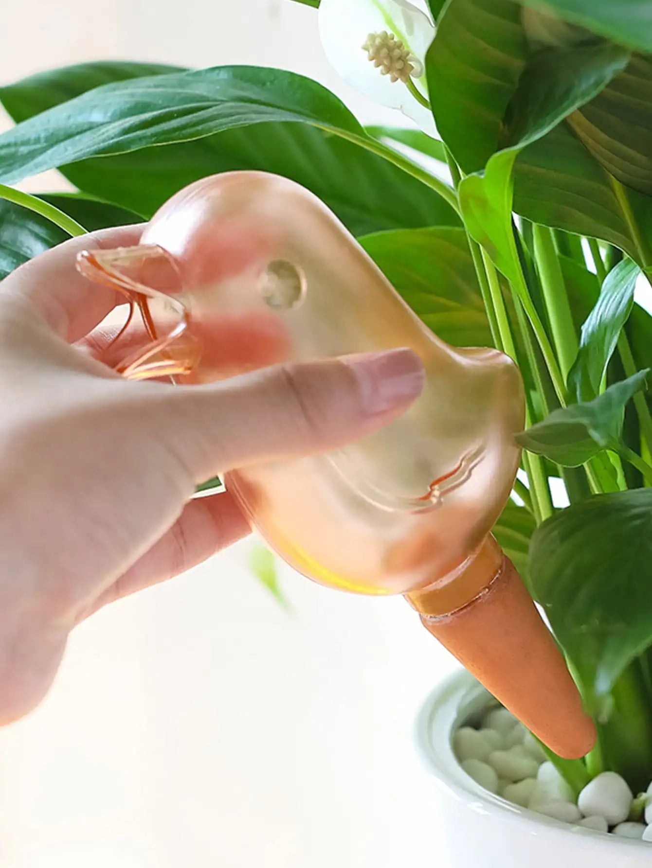 High quality hand blown bird shaped plastic plant self watering system.