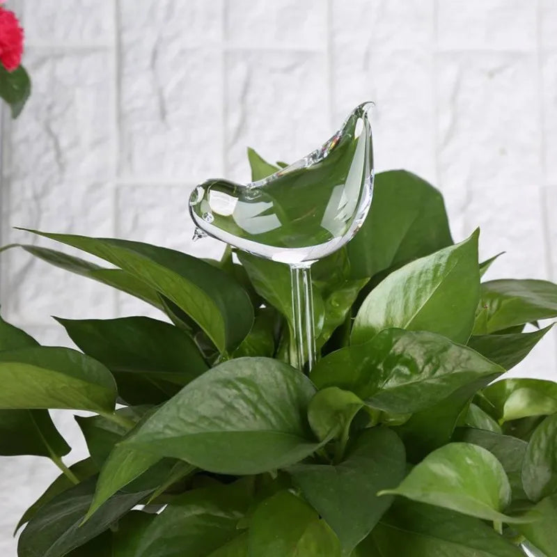 Automatic Plant  Watering Device Animal Shape Self Watering Ball Clear Glass Aqua Bulbs Flowerpot Drip Irrigation Device